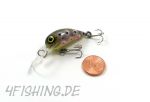 Der BOMBIC 3 von MONARCH DOK - Der Miniwobbler Brown Trout