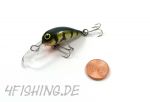 Der BOMBIC 3 von MONARCH DOK - Der Miniwobbler Perch