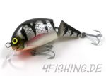 Monarch Dok MOBY 13 FLACHLÄUFER - der BOMBER in SILVER PERCH