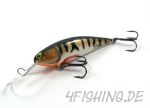 Monarch Dok Pitch 8 deep - ein kleiner Wobbler der es in sich hat - Perch (old Version)