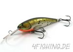 Monarch Dok Pitch 8 deep - ein kleiner Wobbler der es in sich hat - Roach new